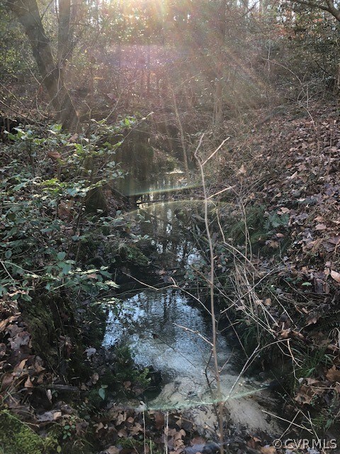 0 New Kent Hwy unit 2203199, New Kent, VA 23141 - photo 4