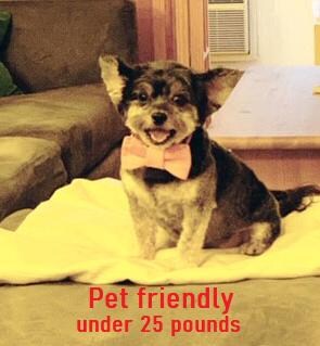 The Gallery House unit 2H, New York, NY 10019 - photo 7