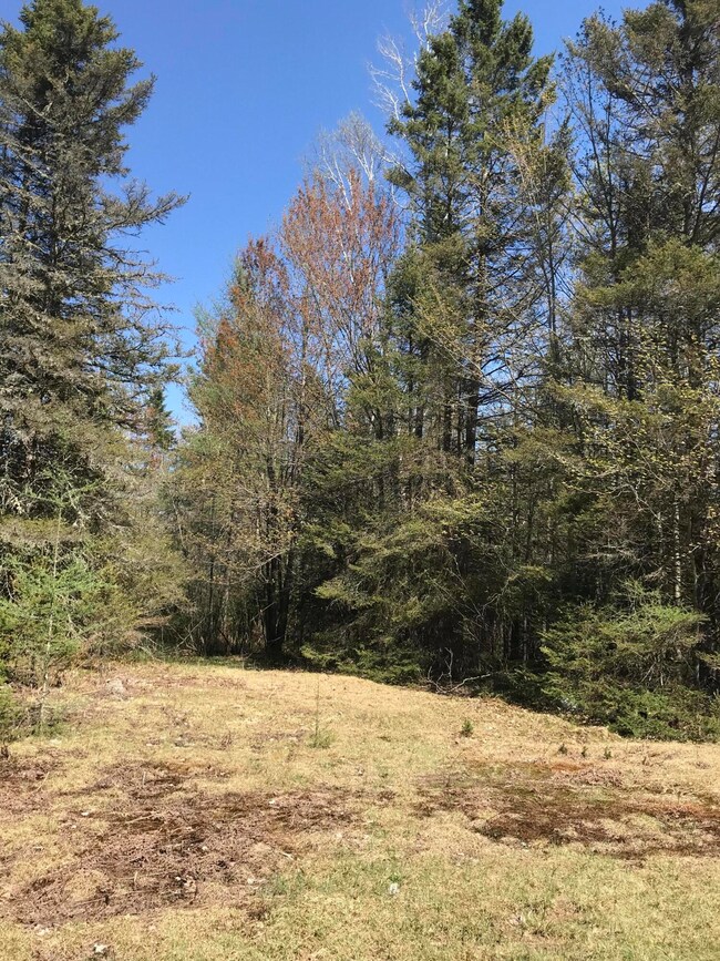 0 E Sand Ridge Rd, Stalwart, MI 49736 - photo 5