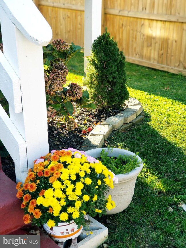 8309 Cypress St, Laurel, MD 20707 - photo 3