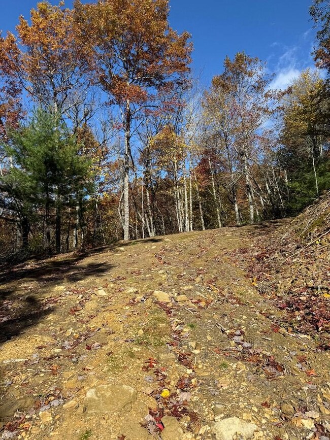 65 Acre Long Branch Rd, Topton, NC 28781 - photo 7