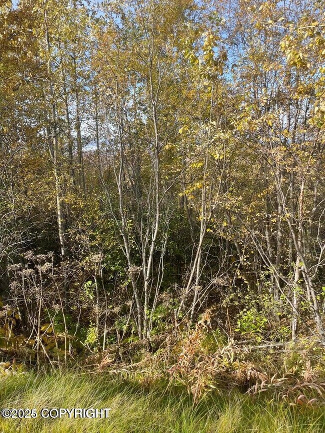Birchwood loop 2