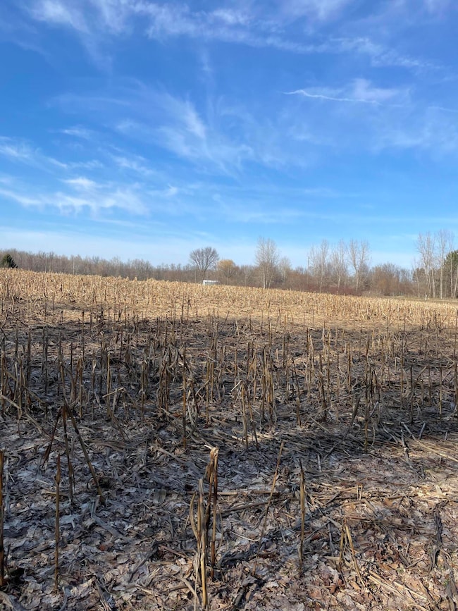 0 48th Ave unit 25050708, Lawrence, MI 49064 - photo 4