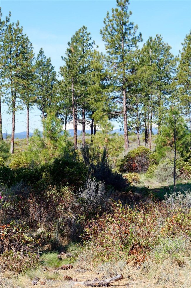 61020 Bachelor View, Bend, OR 97702 - photo 5