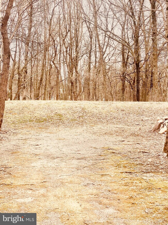 31 Dilldown Dr, Jim Thorpe, PA 18229 - photo 5