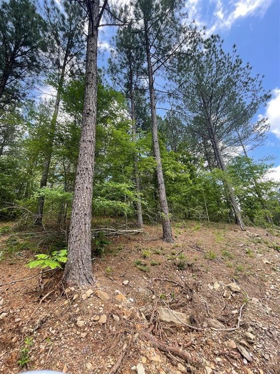 735 Timber Creek Trails South XI, Broken Bow, OK 74728 - photo 3