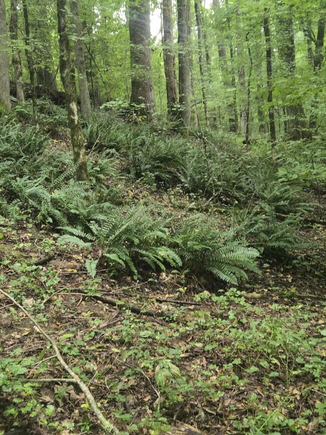 4866 Hwy 42 S, Forsyth, GA 31029 - photo 5