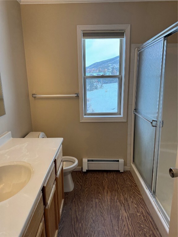 Bathroom featuring hardwood / wood-style flooring,