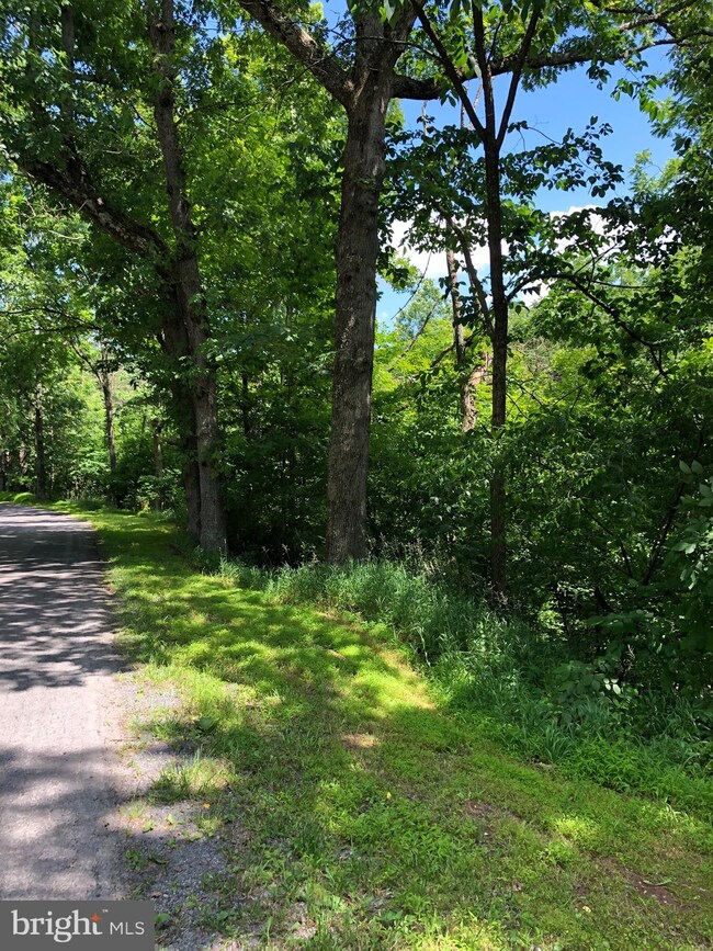 0 Virginia Line Rd unit WVMO115566, Berkeley Springs, WV 25411 - photo 5