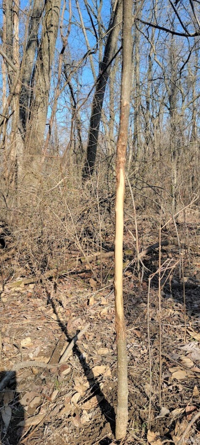 Tract 2 North St, Elnora, IN 47529 - photo 7