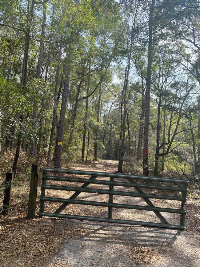 345 Royal Oak Ct, Crawfordville, FL 32327 - photo 5