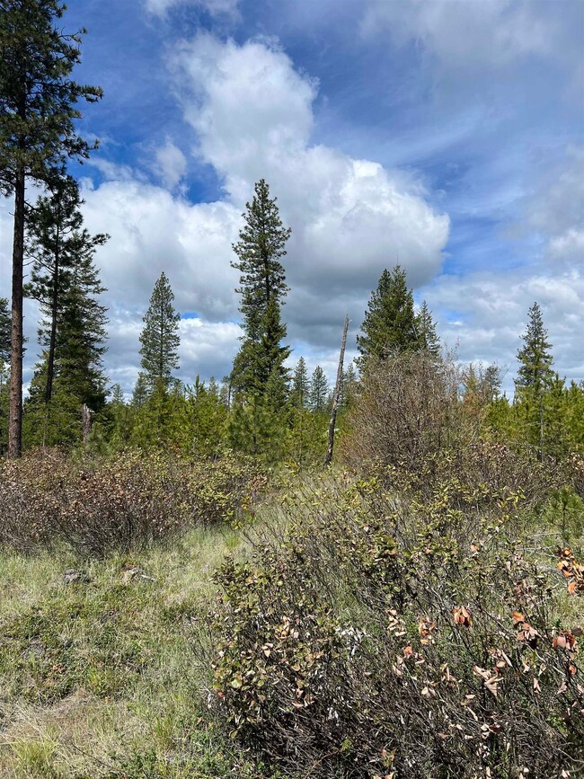 NKA - parcel #2 U S Highway 2, Newport, WA 99156 - photo 6