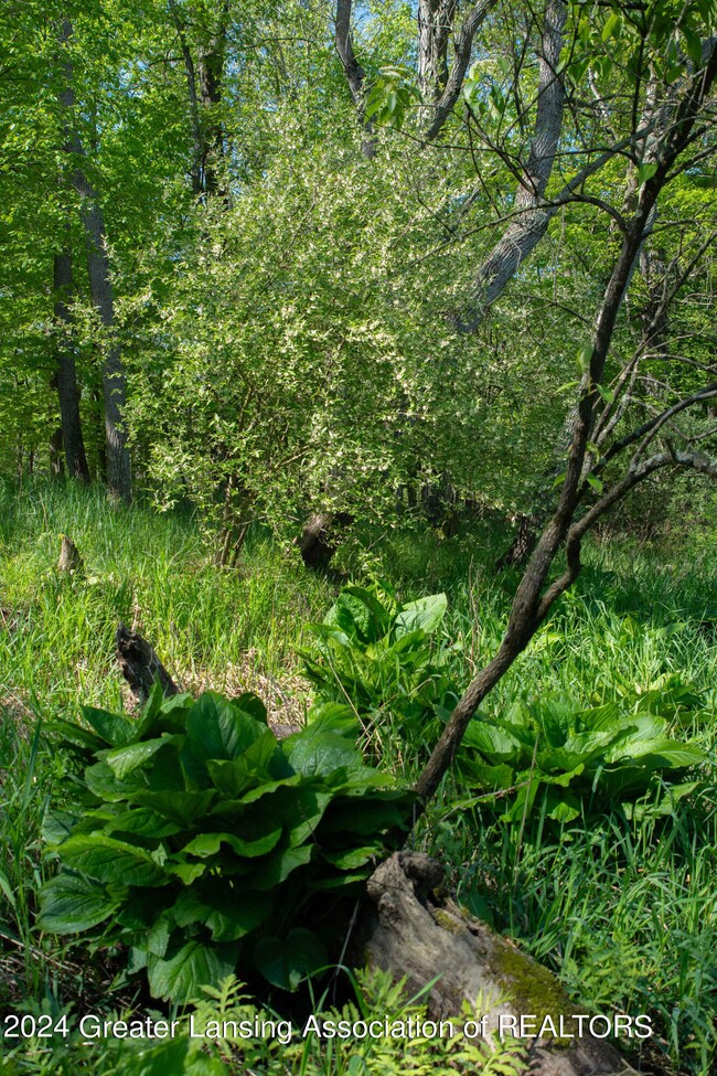 KJP_9070copy