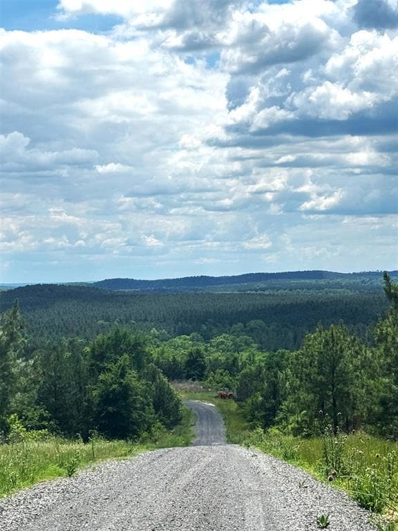 75 Sliding Hill Trail, Broken Bow, OK 74728 - photo 2