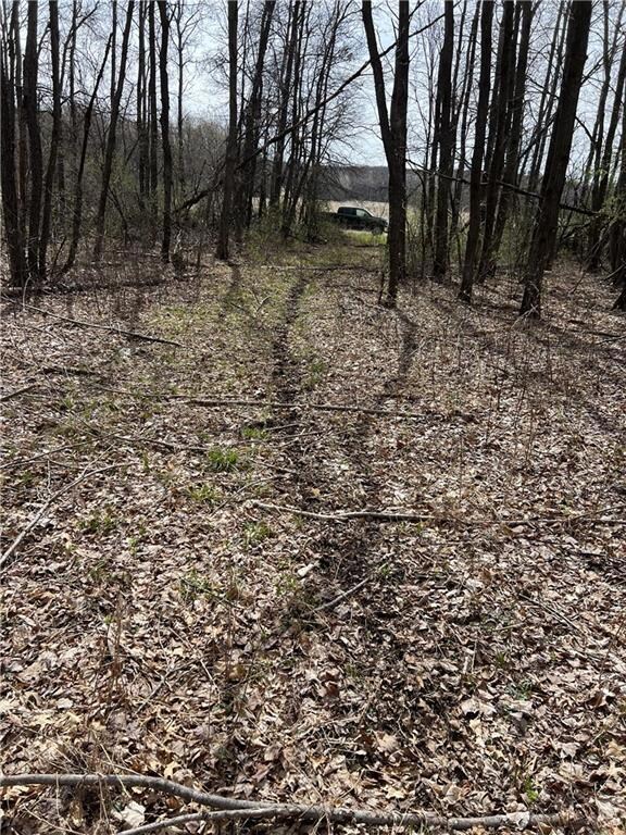 deer trail