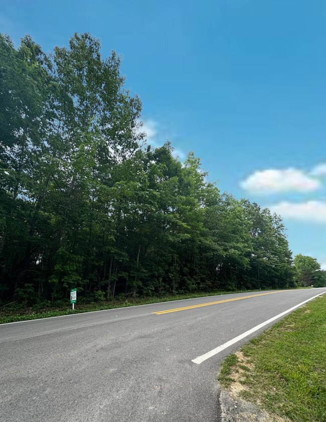 0 Woods Rd unit 1392669, Tunnel Hill, GA 30755 - photo 4