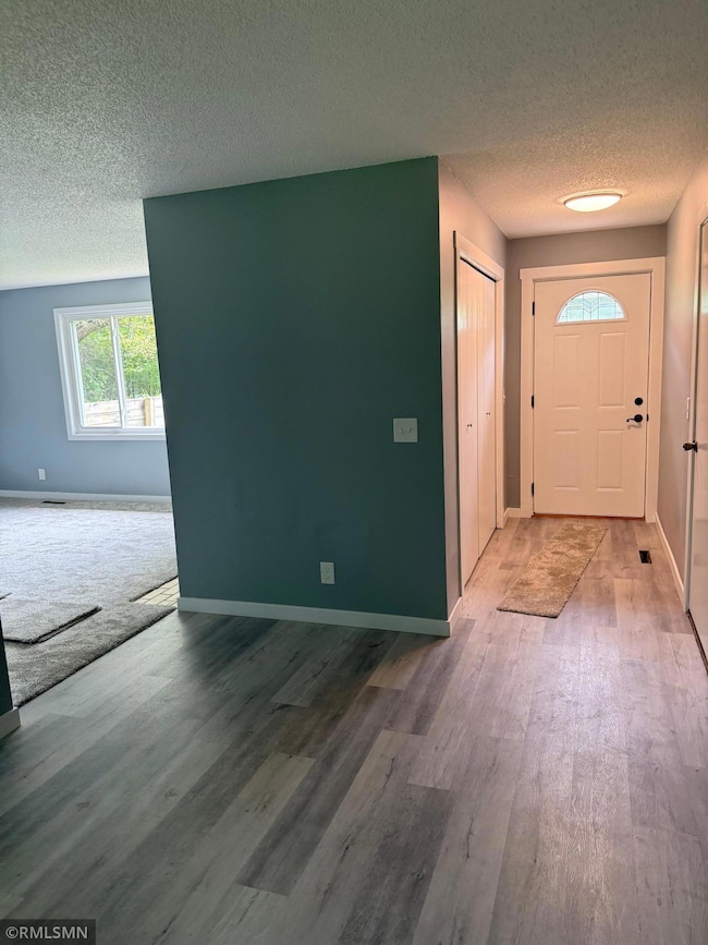 18975 Flora St NW, Cedar, MN 55011 - photo 4