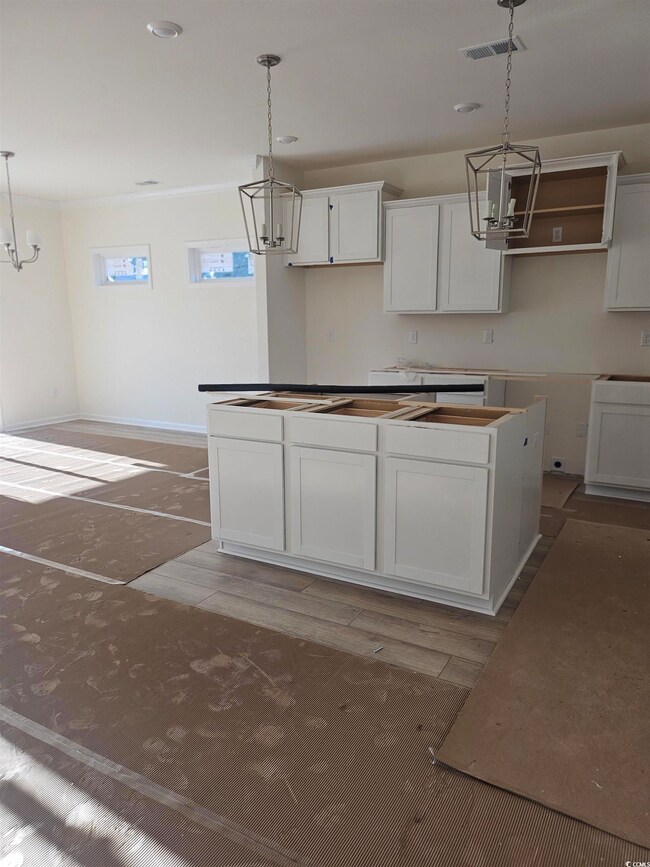 533 Honeyhill Loop unit Lot 78, Conway, SC 29526 - photo 3