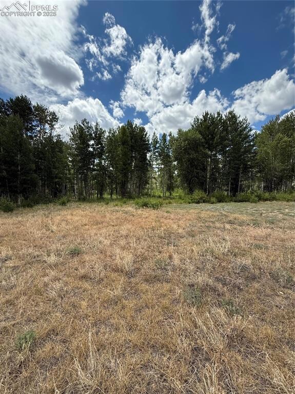 17566 Trout Cir, Buena Vista, CO 81211 - photo 7