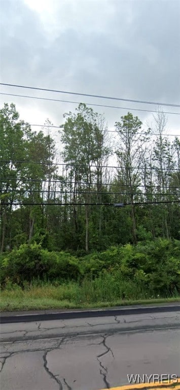 V/L Erie Rd, Evans, NY 14006 - photo 5