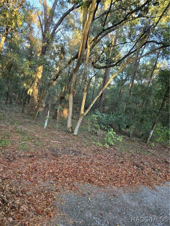 This oversized lot is in an area of high-quality c