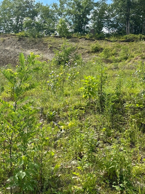 31-33 Walsh Ave, Auburn, MA 01501 - photo 7