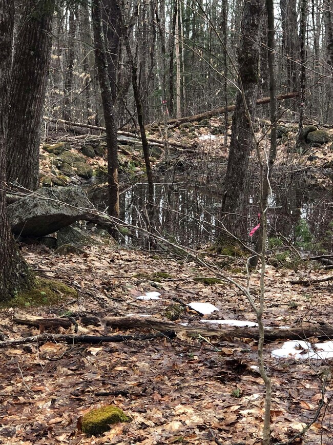 0 Turner Hill Rd unit Lot 17 4991048, Antrim, NH 03440 - photo 4