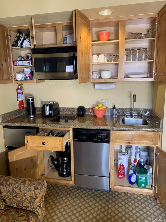 6 Emmons Rd unit 476, Crested Butte, CO 81225 - photo 7