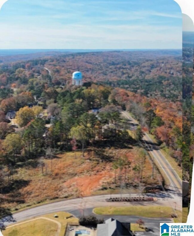 4915 S Shades Crest Rd unit A, Bessemer, AL 35022 - photo 3