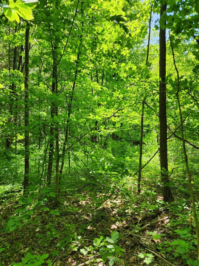 0 Co Road 800 unit 199206, Milan, IN 47031 - photo 7