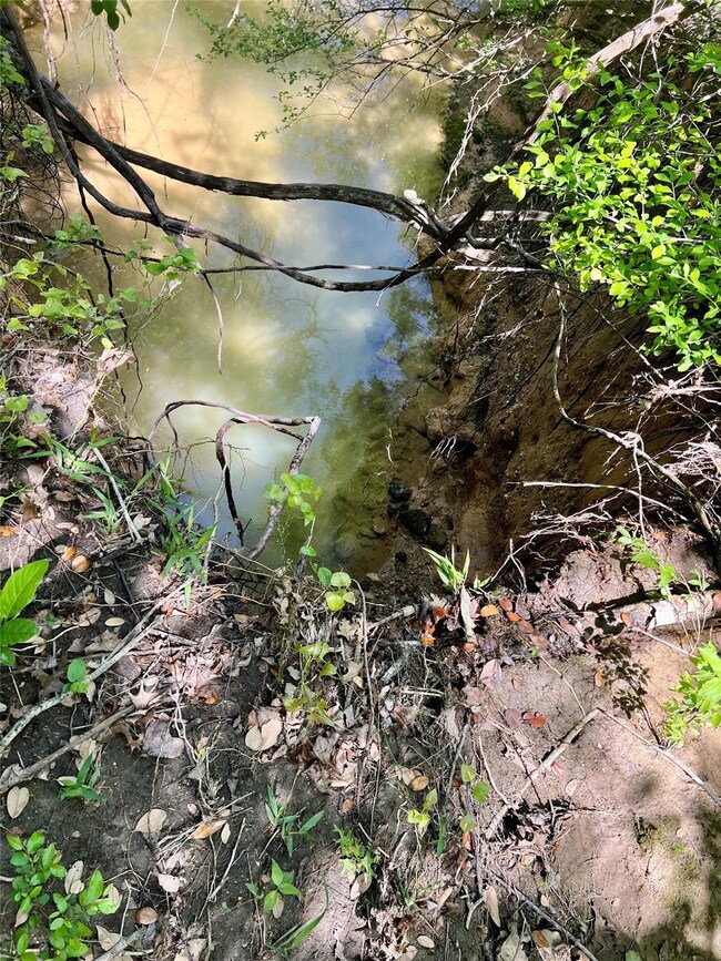 TBD Forest Trail Ct, Weatherford, TX 76085 - photo 7