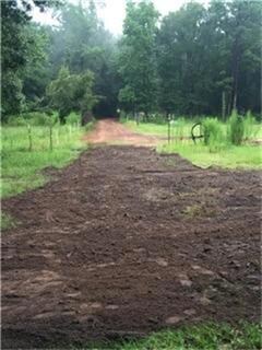 20315 Fm 1488 Rd, Magnolia, TX 77355 - photo 5