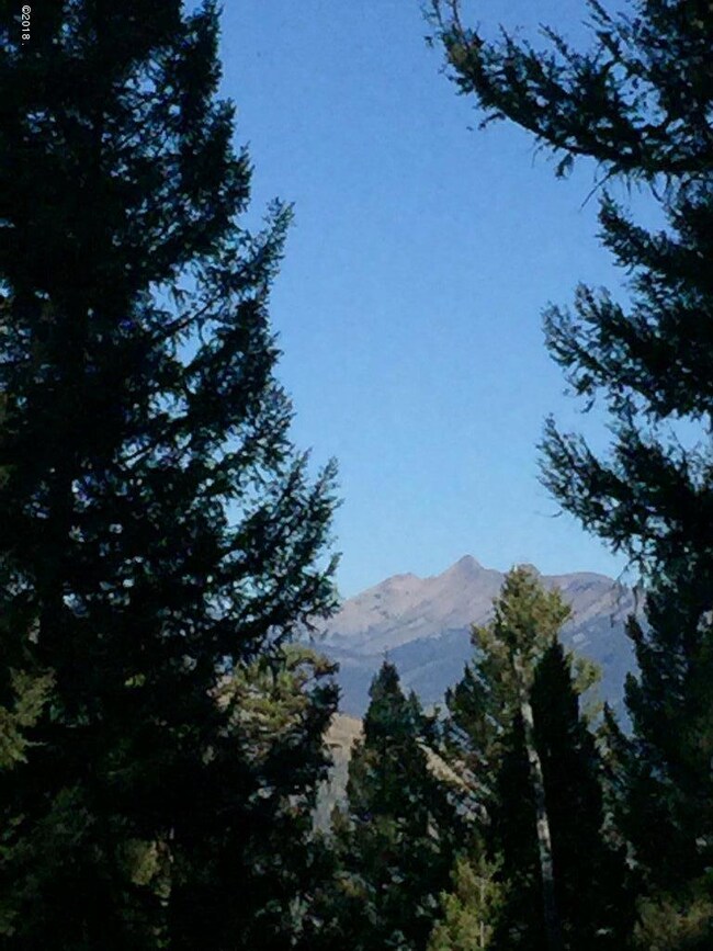 Nhn Summit Dr, Seeley Lake, MT 59868 - photo 6