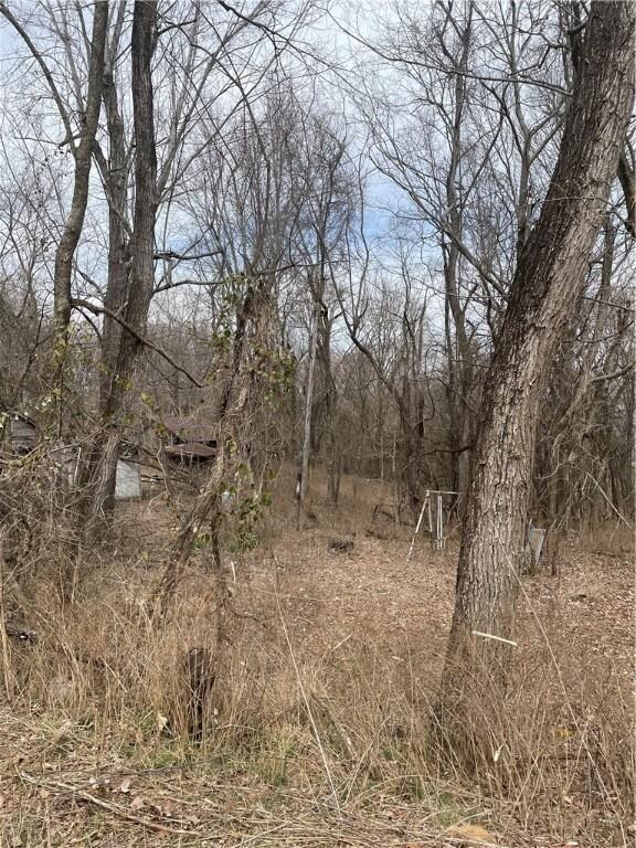 10 AC Stout Mountain Rd, Fayetteville, AR 72701 - photo 6