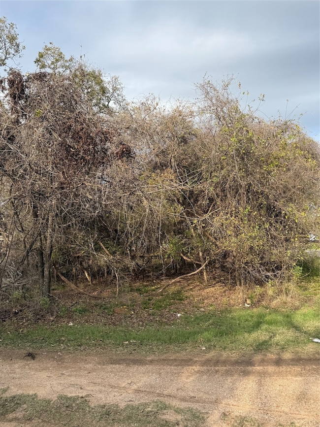 7114 Huron Trail, Weatherford, TX 76087 - photo 6