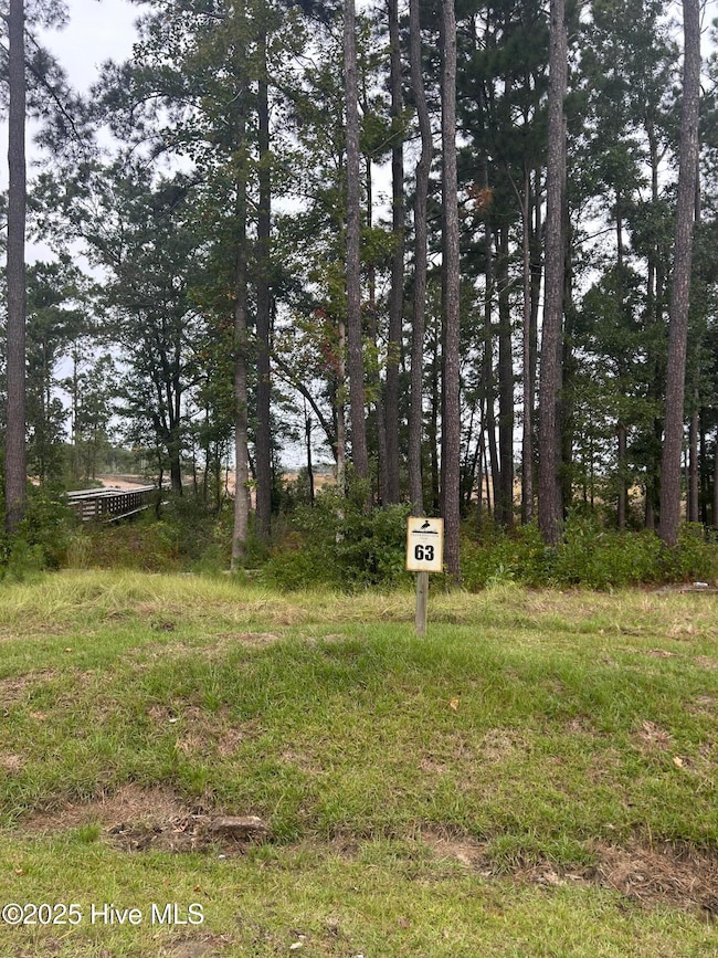 1629 Riverside Dr, Wilmington, NC 28401 - photo 3