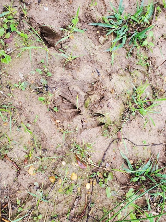 Xx Enterprise Rd, McComb, MS 39648 - photo 3