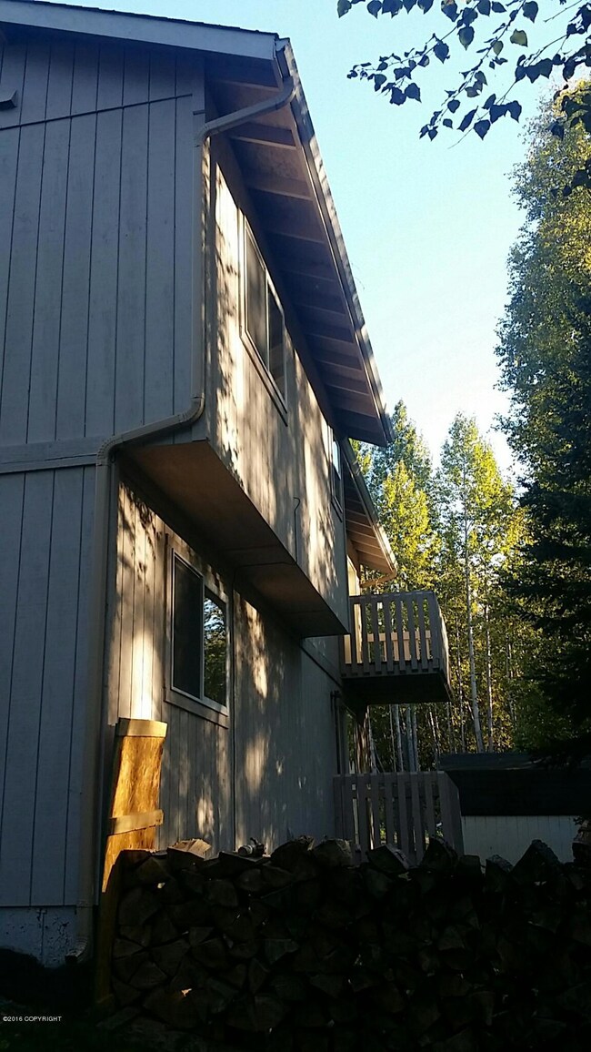 rear side - dual decks