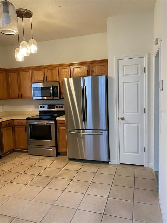 10011 Tranquility Way, Tampa, FL 33625 - photo 2