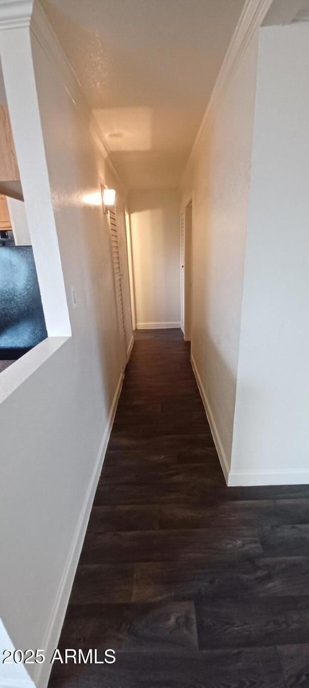 762728019-20250717_145134