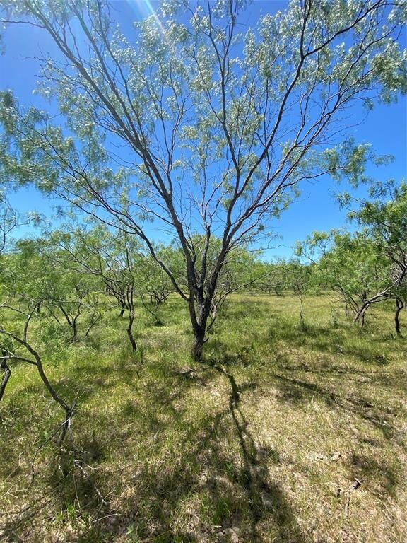 Lot 10 TBD Fm 1181, Ennis, TX 75119 - photo 4