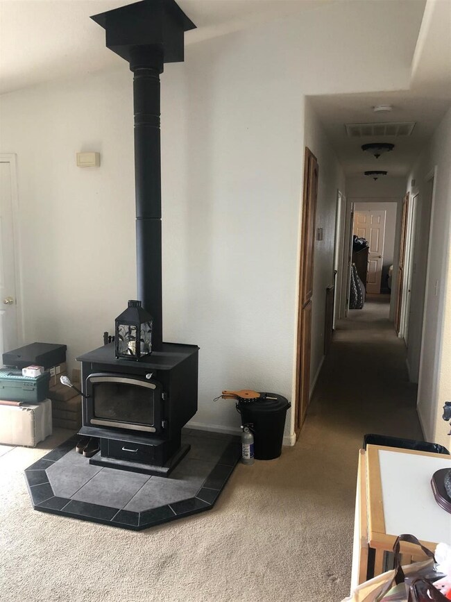 5400 Bottom Rd, Fallon, NV 89406 - photo 6