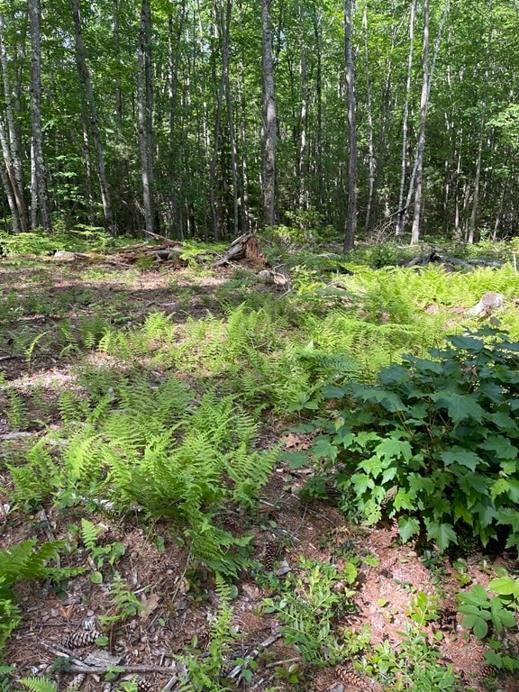 0 Rindge Turnpike, Ashburnham, MA 01430 - photo 5