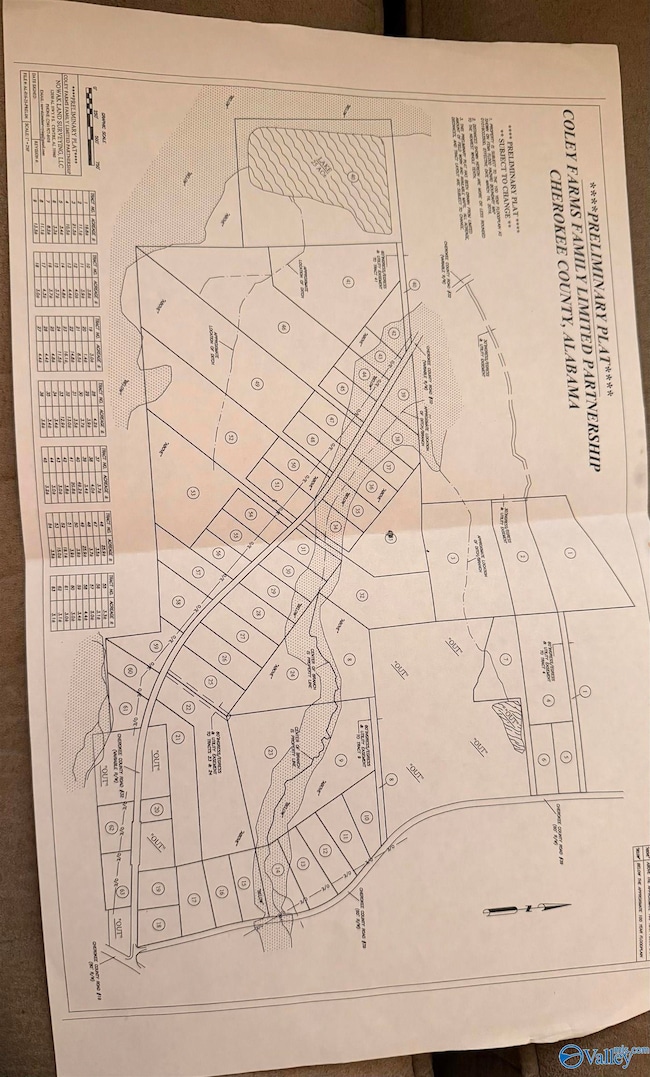 Lot 29 County Road 32, Piedmont, AL 36272 - photo 3