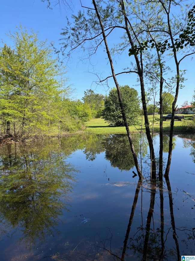 1401 Cobb Rd, Munford, AL 36268 - photo 2