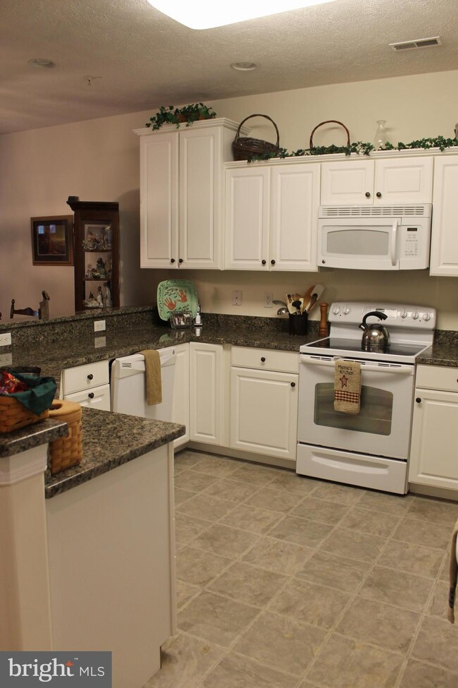 12947 Little Hayden Cir, Hagerstown, MD 21742 - photo 6