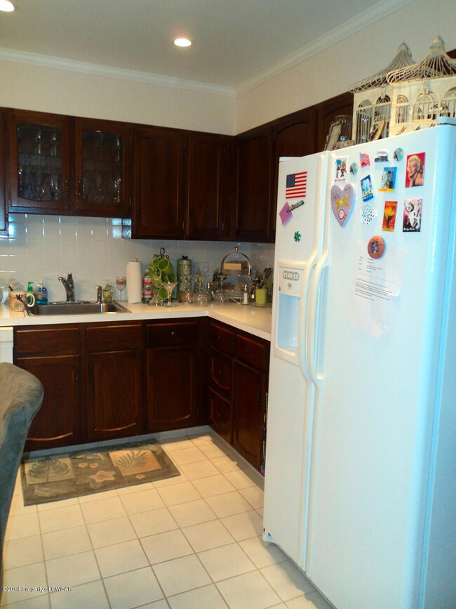 Kitchen View 2