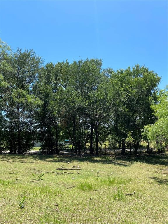 Lot 4 TBD Gin Rd, Ennis, TX 75119 - photo 3