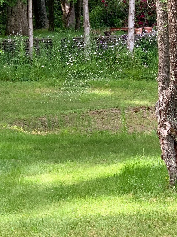 87 Off Ruggles St, Hardwick, MA 01331 - photo 6