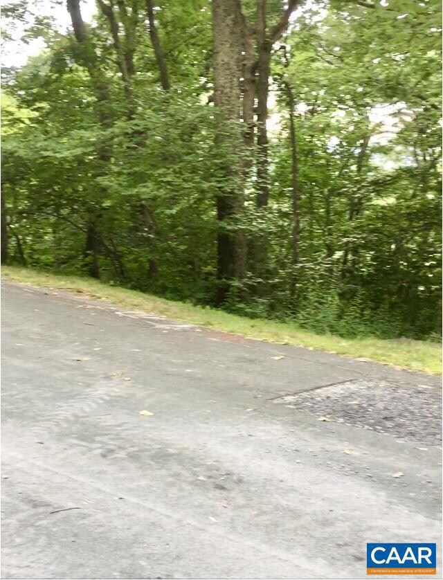 108 Rock Tree Ln unit 119, Roseland, VA 22967 - photo 2